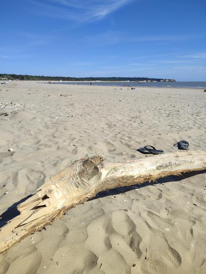 Idealement Situe, Tout A Pied, 60M2 Saint-Georges-de-Didonne Eksteriør billede